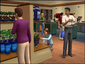 The Sims 2 Open for Business
