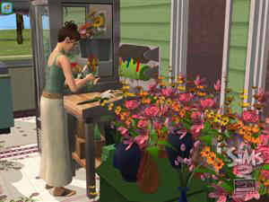The Sims 2 Open for Business