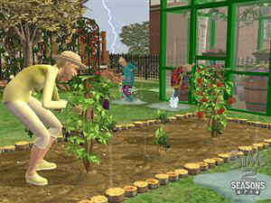 The Sims 2 Seasons