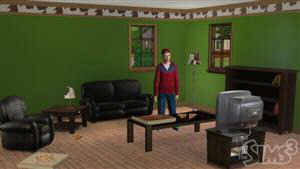 The Sims 3