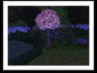 Screenshot-71.jpg