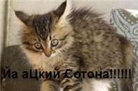 Аватара пользователя