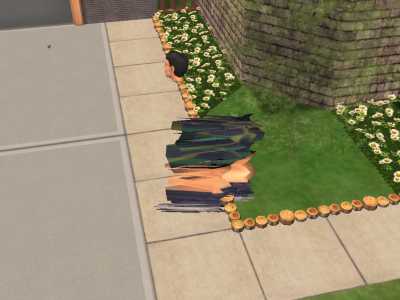 snapshot_d6addb2b_96ade48a.jpg