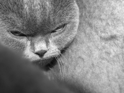 и снова она