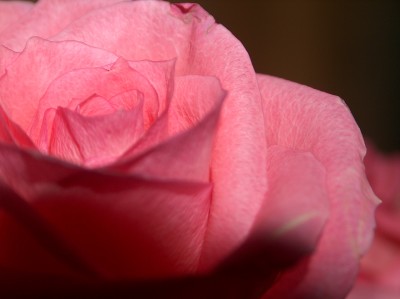 С бабушкиного сада, я откровенно говоря фигней страдала)))))