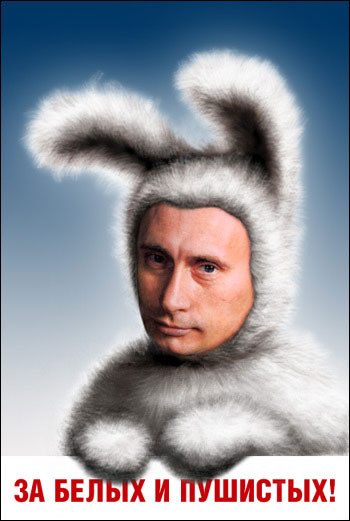 83.jpg