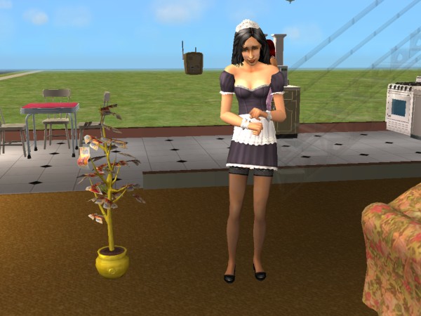 snapshot_2dae895f_d195b7b0.jpg