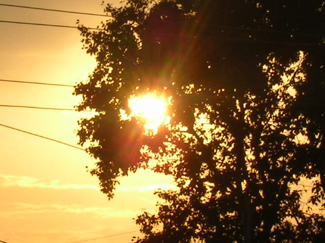 Изображение 127.jpg