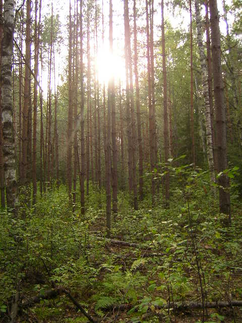 Изображение 061.jpg