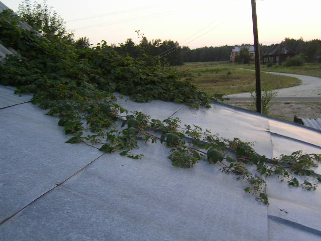 Изображение 186.jpg