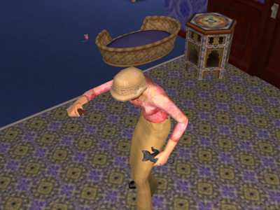 snapshot_b1e67953_324a93bc.jpg