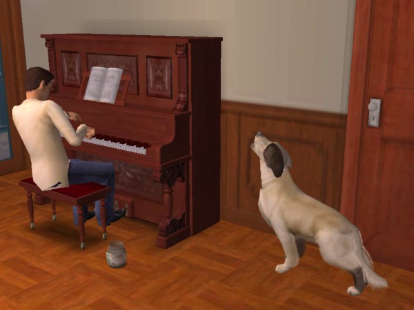 snapshot_326213e9_1279e6c9.jpg