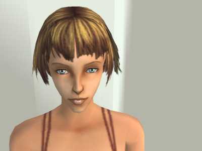 snapshot_144753ae_1447578e.jpg