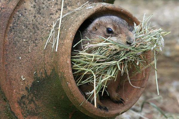  клад нашёл!.jpg