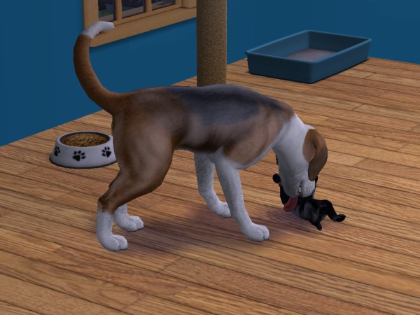 snapshot_cdae71fd_d4e147eb.jpg